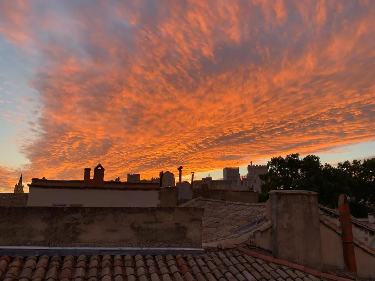 Superbe Appartement Intramuros Avignon France